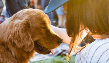 Dogs make us Healthier