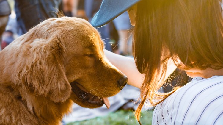 Dogs make us Healthier