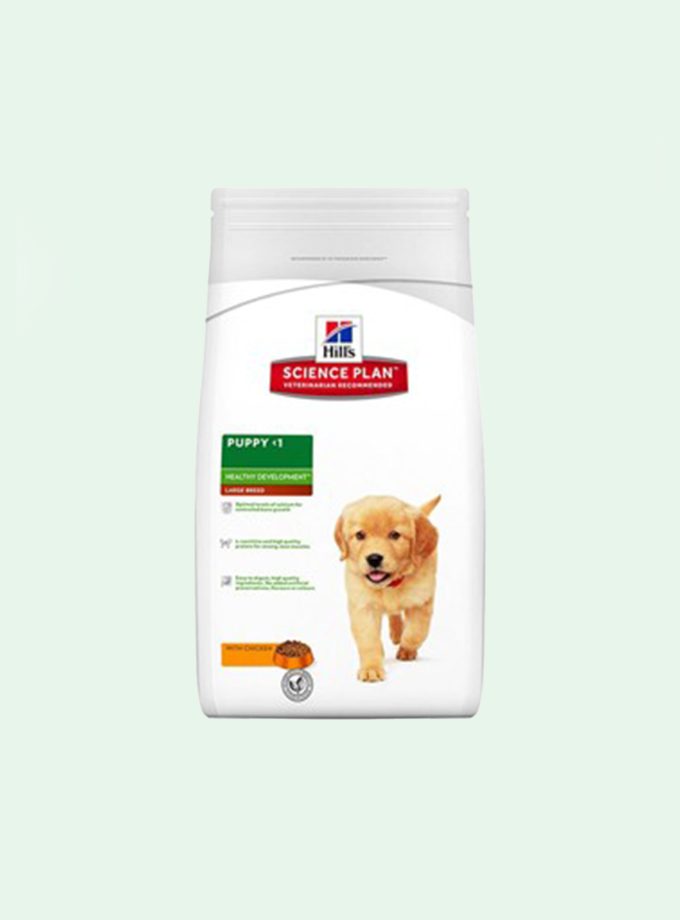 Hill's Puppy Large Breed Dry Dog Food - Chicken