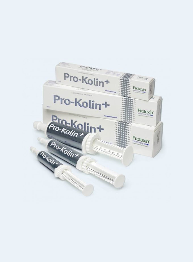 Pro-Kolin+ Probiotic Paste with Syringe