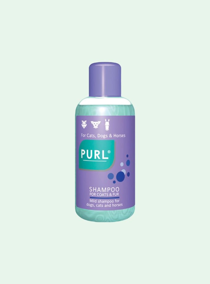 Purl Regular Shampoo 500ml