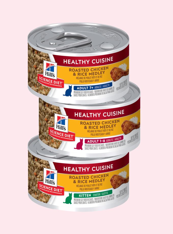 Hill's Chicken Medley Wet Cat Food