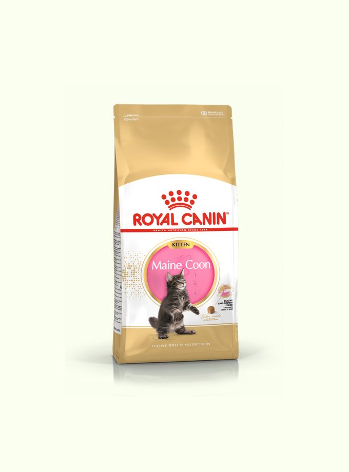 Royal Canin Maine Coon Kitten