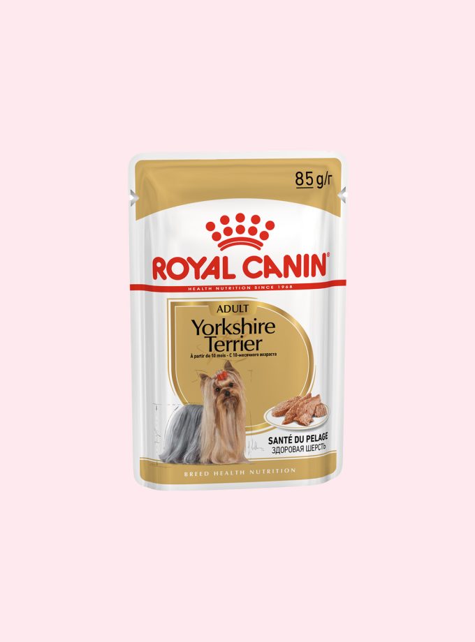 Royal Canin Adult Yorkie Wet Dog Food Pouch
